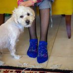جوراب مچی زنانه طرح شازده کوچولو کد PH447 - Image 5